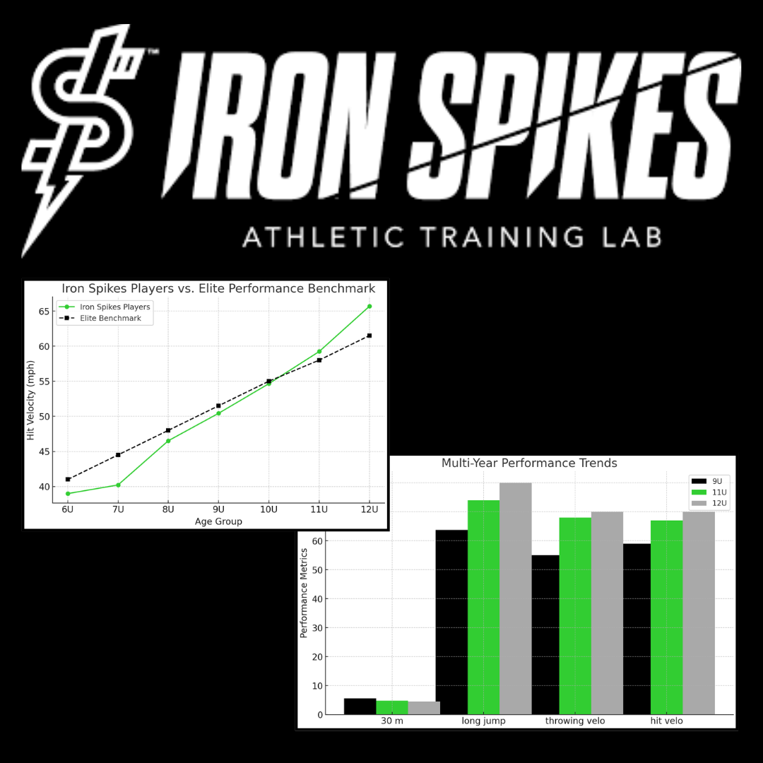Year Over Year Performance Trends